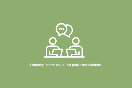 Icon First Public Consultation