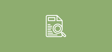 Icon Document