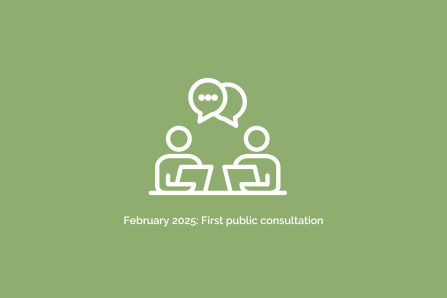 First Public Consultation